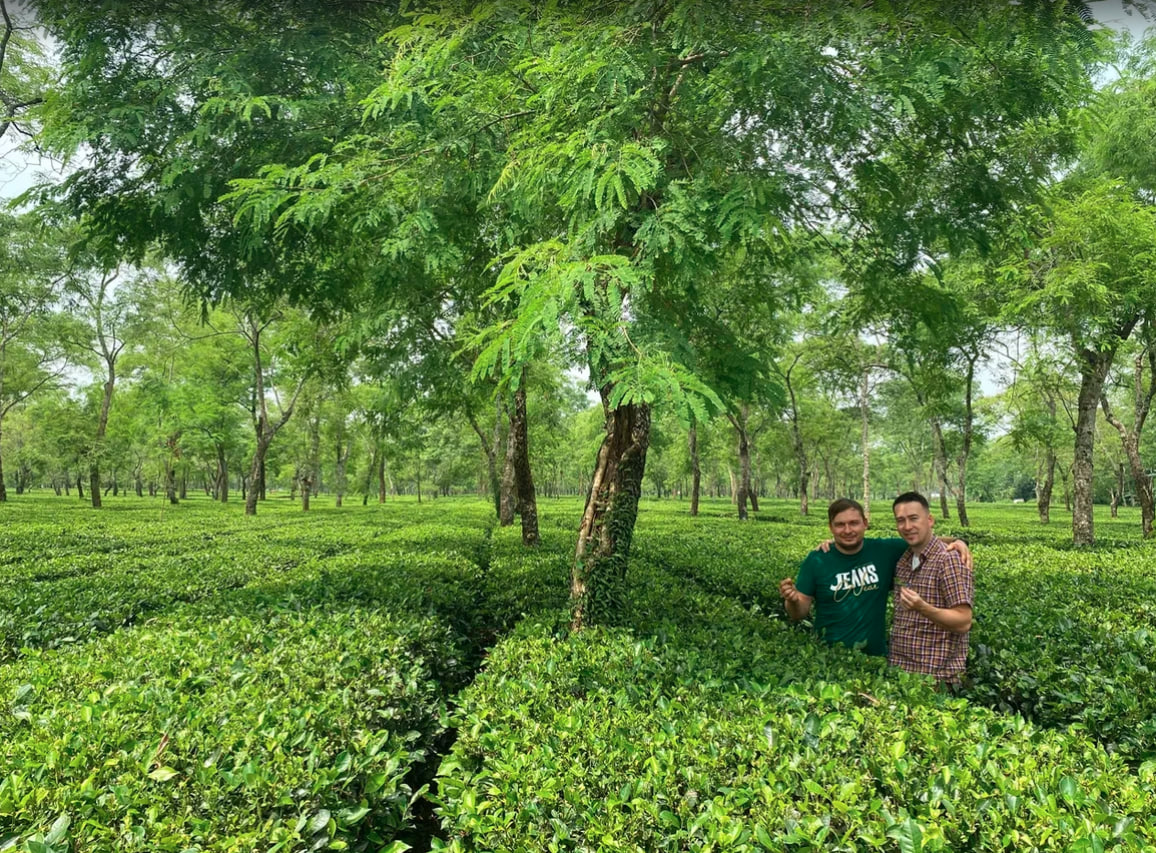 Picture